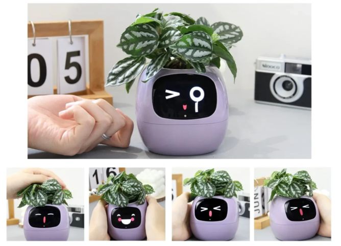 Ivy Interactive Gestures